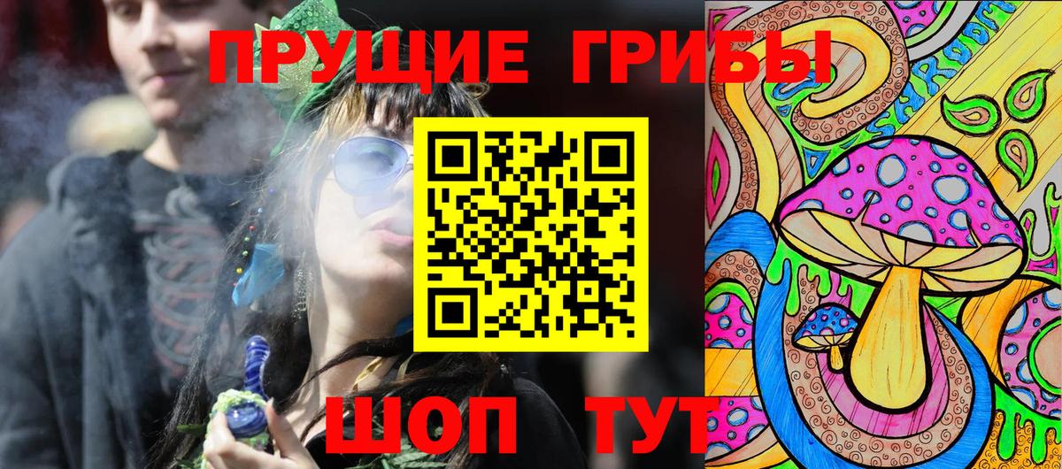 Галлюциногенные грибы Psilocybine cubensis Партизанск
