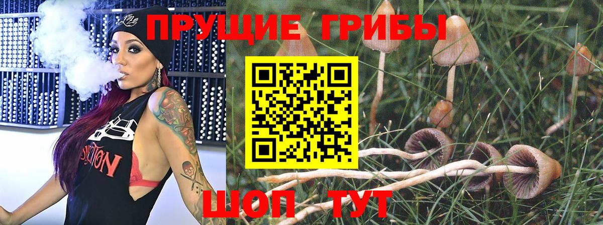 Псилоцибиновые грибы мицелий  Вход с VPN  Партизанск 